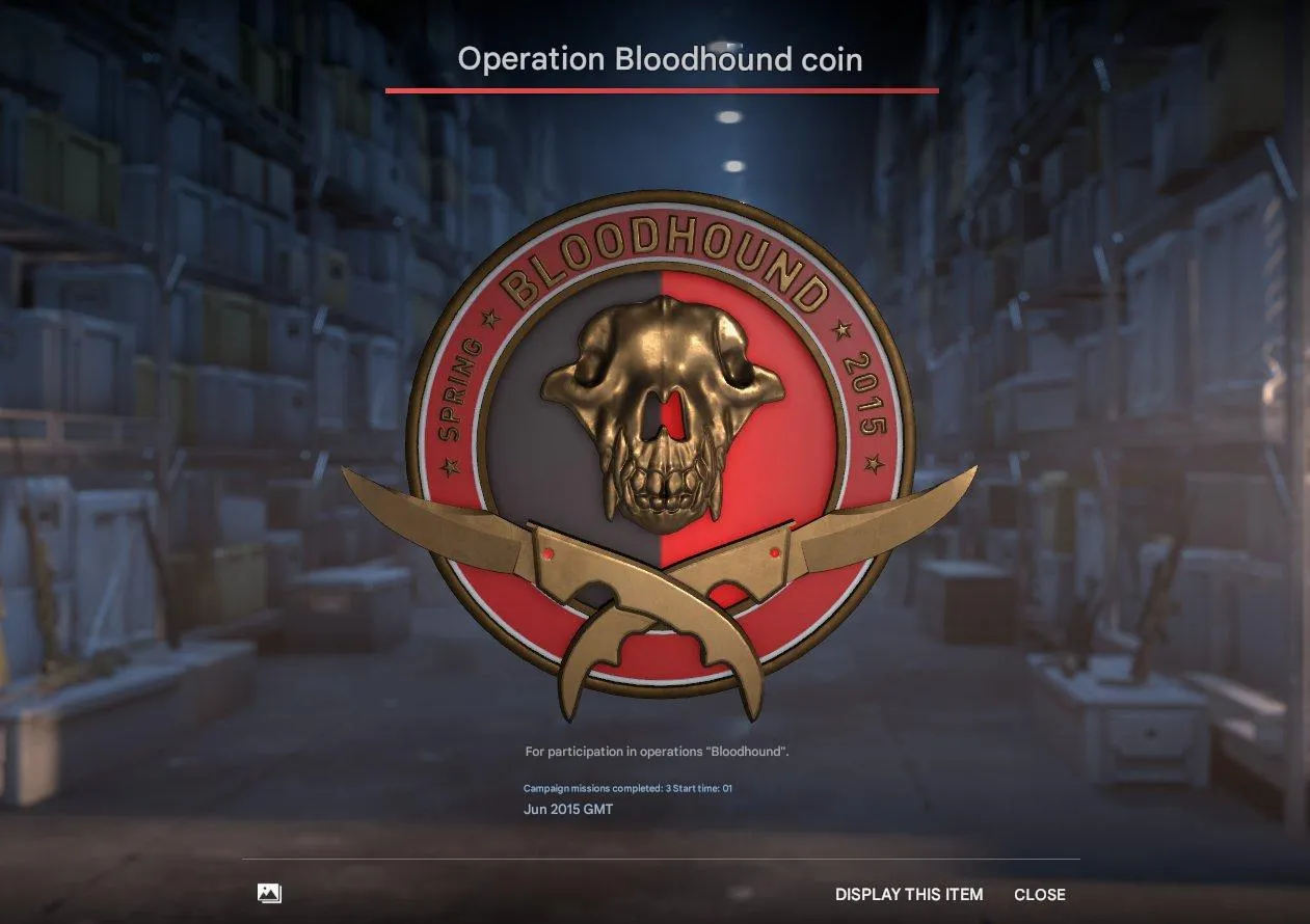 CS187 Prime + 361 Hours + 6 Medals + Bloodhound + 5-Year + 10-Year + Loyalty + 2025 Service + Global Offensive 